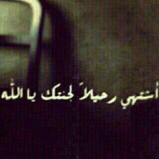 yoosh_com tweet picture