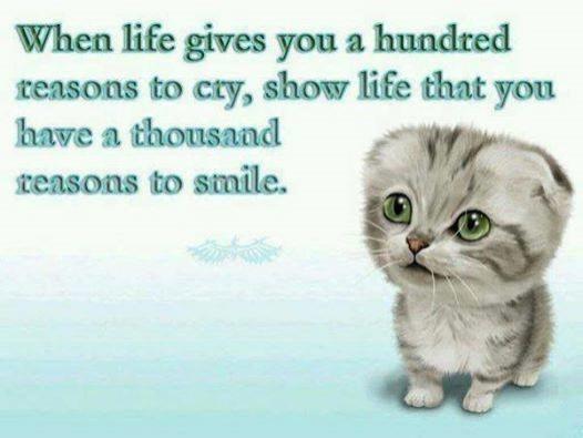 KateSth's tweet image. Tenía mucho tiempo que no entraba en mi twitter! Lo tenia botado! Jaja