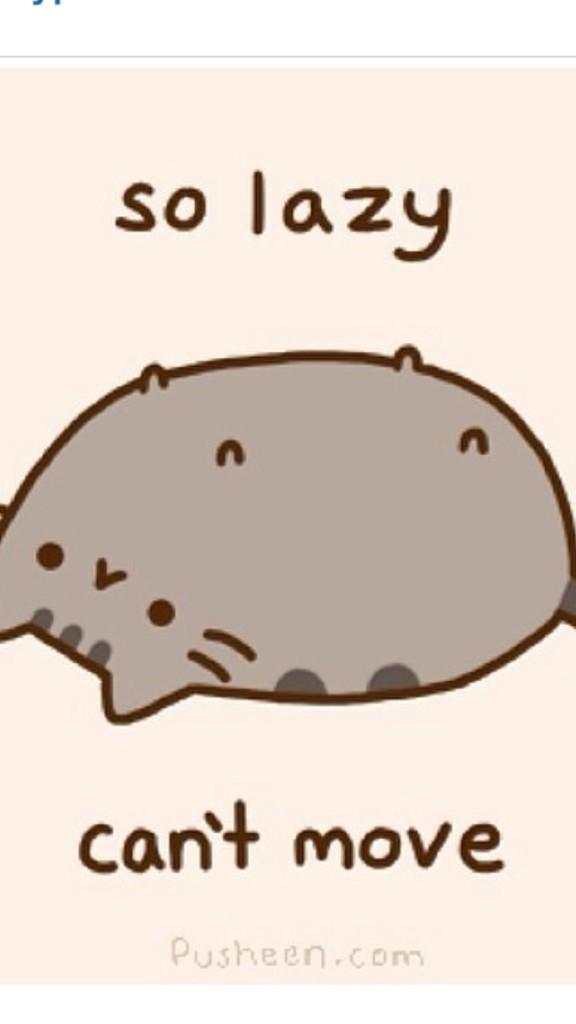 caleigh_smth's tweet photo. #BobTheShark #SharkAfterDark if bob was a cat http://t.co/061ONrCbkl