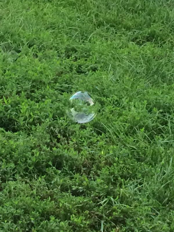 iowaprincesss's tweet image. Pure simplicity #bubbles