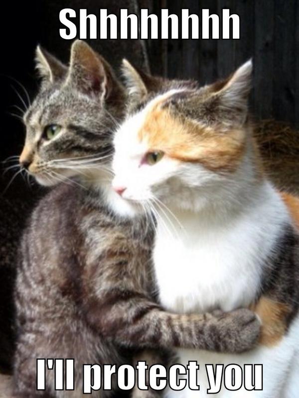 AliceNyxCn's tweet photo. Ship them now http://t.co/XJn0EHVsqP
