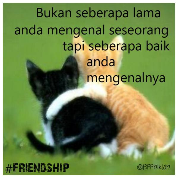 Friendship