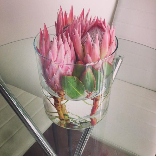 Poetry in Flowers (GungahlinF) Twitter