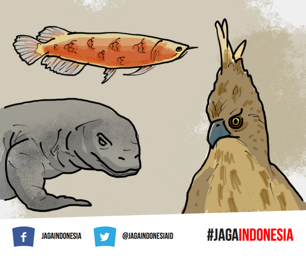 jagaindonesiaID's tweet photo. Ada yang bisa nyebutin binatang-binatang yang hanya ada di Indonesia? http://t.co/ToqmyzboF8