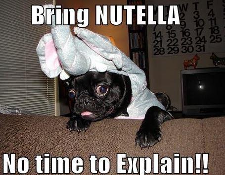 Ferrero (the company which owns Nutella) currently uses 25% of the world’s hazelnut supply #FactTimeFriday