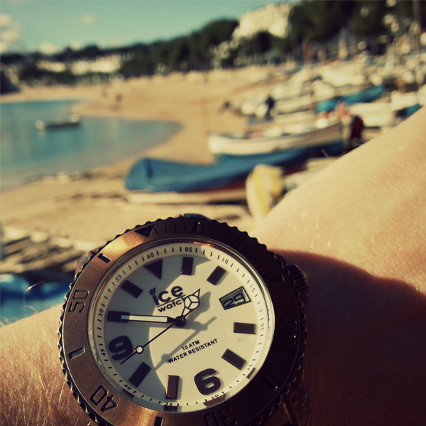 IceWatchUK tweet picture