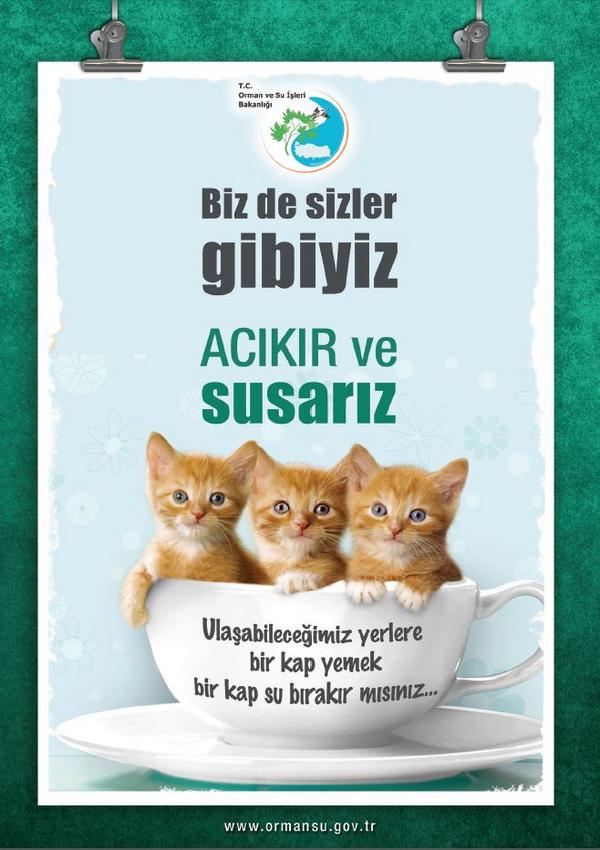 Hayvanları korumak tabiatı yaşatmaktır..

Onlar için bu yaz boyunca kapımızın önünde bir kap su bulunduralım...