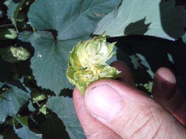 Florian Seitz tweet media