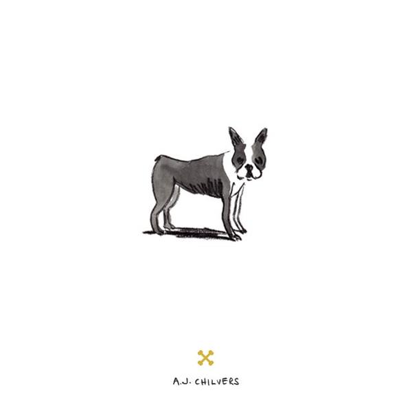 forLoveofDog's tweet photo. My Boston Terrier "The American Gentleman" how do you do sir... #boston #dogs #illustration #terrier #art #london http://t.co/iZ29ps7d0h