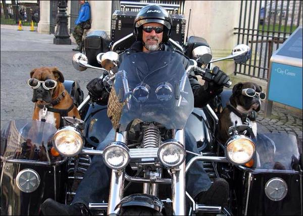 GoBrazen's tweet photo. Thought of you... @SidewalkDog #GoBrazen http://t.co/V4FfjkJpey