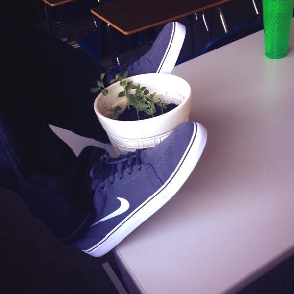 MrBenNeedle's tweet photo. Starting #Friday right! #FreshtoDeath #KOTD with my #AgRev. Photo cred #twitterlesscollin #iwannabelikerocky #nikesk8 http://t.co/qFm3wGAZQl