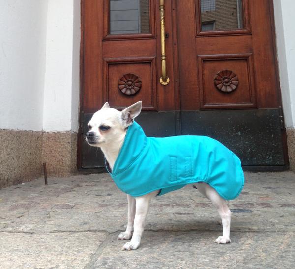 NaNi_Design's tweet photo. Here's a sneak peak of a prototype our upcoming rain jacket! What do you think? #nanidogwear #dogwear #chihuahua #dog http://t.co/5n6wCCR6pv