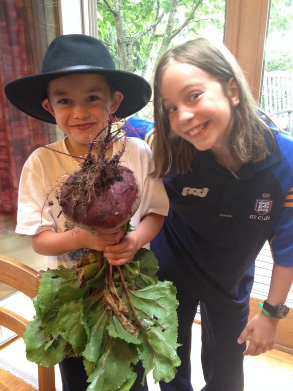 OfficerMason's tweet image. Quite possibly the most impressive beet in the history of beet farming - in your face Dwight Schrute.