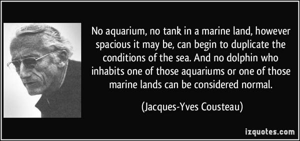 KellysBiz's tweet photo. @SeaWorld Good try! but nothing changes.Breeding continues &amp; a connection to Russia &amp; China. Its worse then ever! http://t.co/9FmiA6wPE5