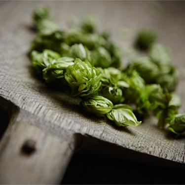 Affligem is made to satisfy the most discerning tastebuds, for a complete tasting experience. #Dedication