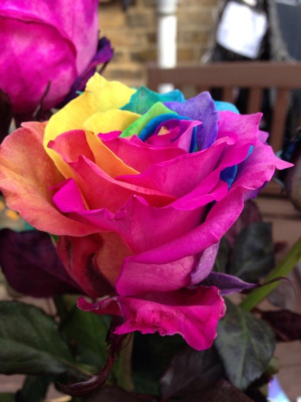 Stunning flowers for my stunning lady!