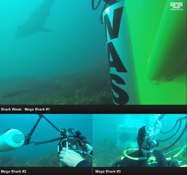 SharkWeek's tweet photo. Dive with us into the waters of the mega shark >> http://t.co/2J6DNY4i7n #SharkCam http://t.co/n7Ure5cZaA