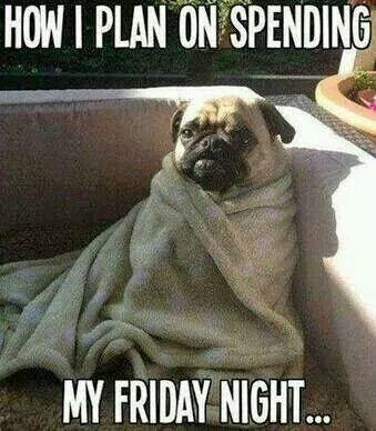 DFWPugRescue's tweet photo. #TGIF We hope everyone has a fun, relaxing weekend! This #pug looks awful comfy! #puglife #weekendpug http://t.co/OyWIujYjOR