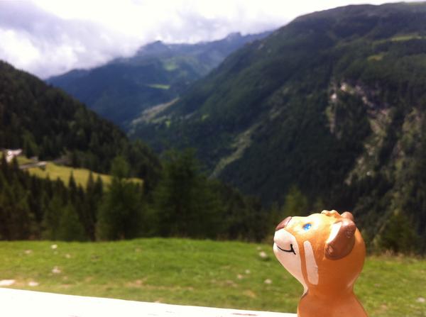 Arcais_Panda's tweet photo. The hills are alive with the sound of Alp Waaaaahs #MiniArc #PandaFoLife http://t.co/aKYFjSp399