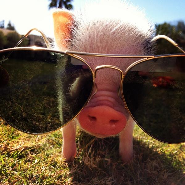 InHumansWeTrust's tweet image. pinterest.com/pin/2139216695…