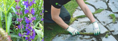 InfoKnops's tweet image. Bekijk ook al onze nieuwe projecten op onze uitgebreide web-site ! 

knopstuindesign.nl