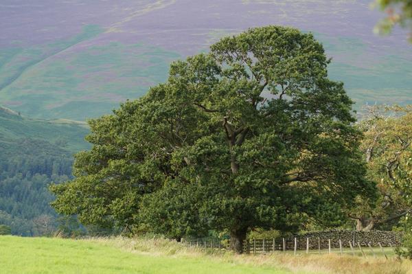 ✨ Jøn ✨ tweet media