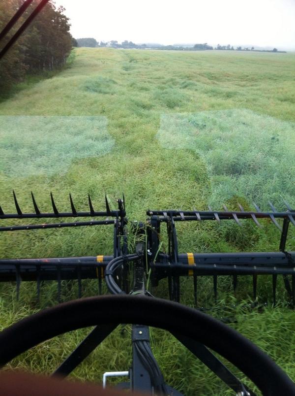 coreyprehn's tweet photo. I guess summers over #harvest14 http://t.co/hSWwPx0jw2