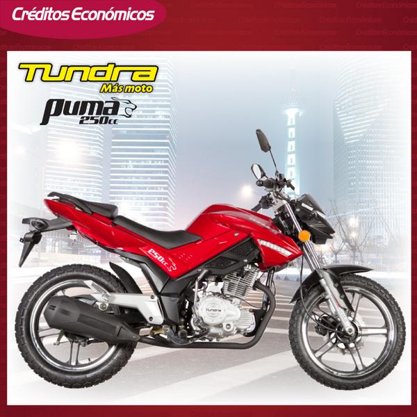 puma 250cc