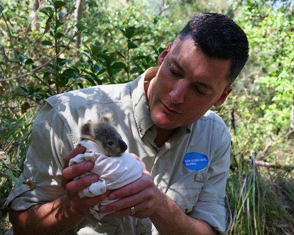 遠藤 彩華 Mamesaruka Twitter