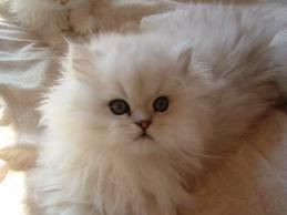 kitty_07122's tweet photo. http://t.co/EpJoiNpxGJ