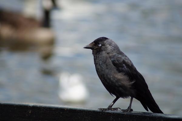 ✨ Jøn ✨ tweet media