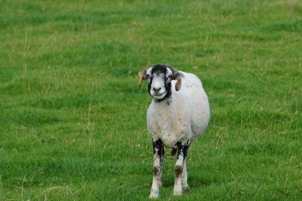 ✨ Jøn ✨ tweet media