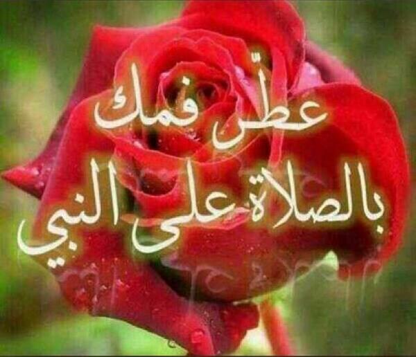 talal_shaman's tweet photo. http://t.co/ISRMzvLjFB