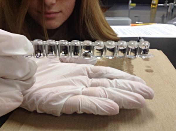 Biomedbabe17's tweet photo. From the lab today!! @2thedorkside Featuring @MedGeek_Ivy and @iouajellybaby hand!!! http://t.co/jkVpfhuHbl