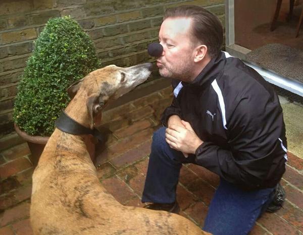 WetnoseDay's tweet photo. Here's @rickygervais &amp; Percy for Wetnose Day - Pose With a Nose! Sept 26th #petbizuk http://t.co/dToQvYcChH 
 http://t.co/LTYh4pRG1c