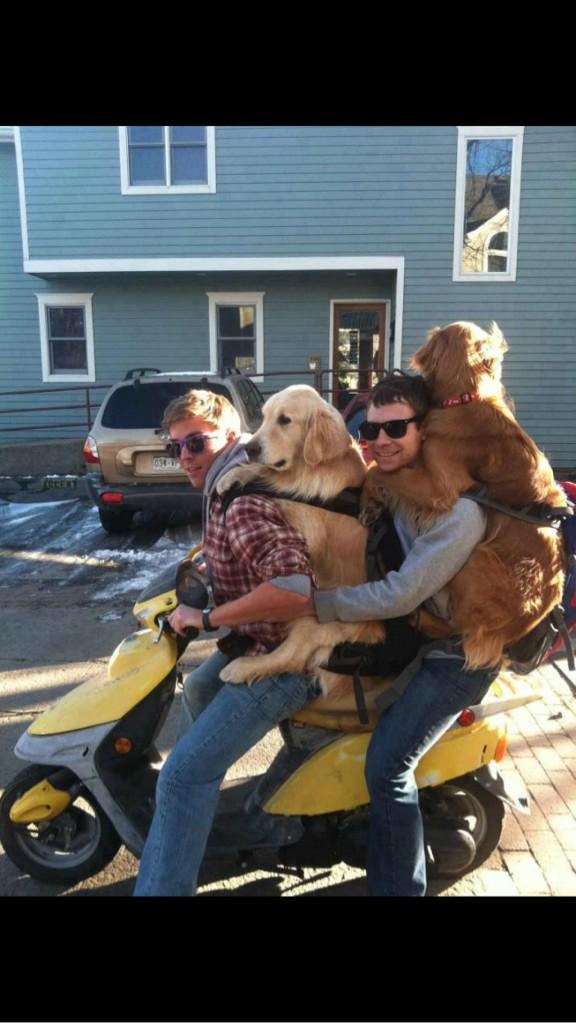 chicken_potato's tweet image. これ、うらやましい