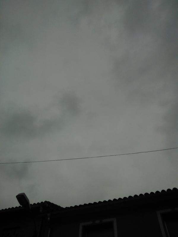 Neito_4 tweet picture