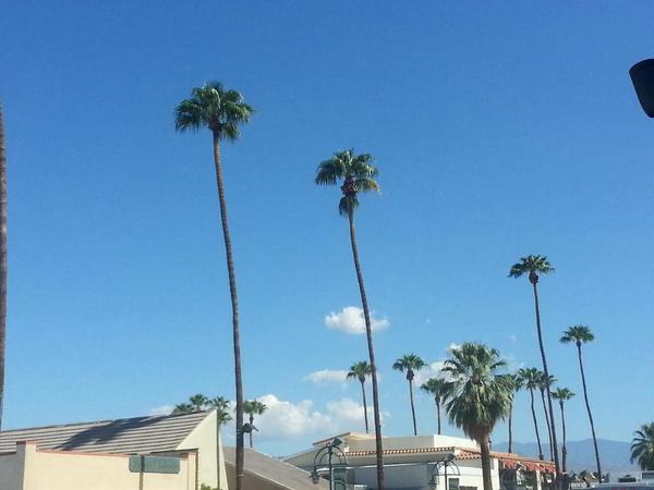 CalifornMaria's tweet photo. Trying to get a photo of the hummingbirds outside but failing http://t.co/Kn60kPjt4y
