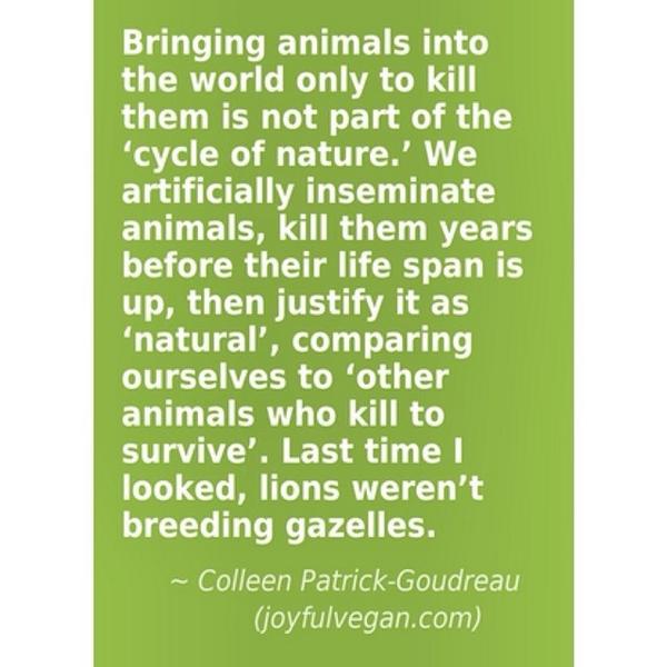 Scientific Vegan tweet media