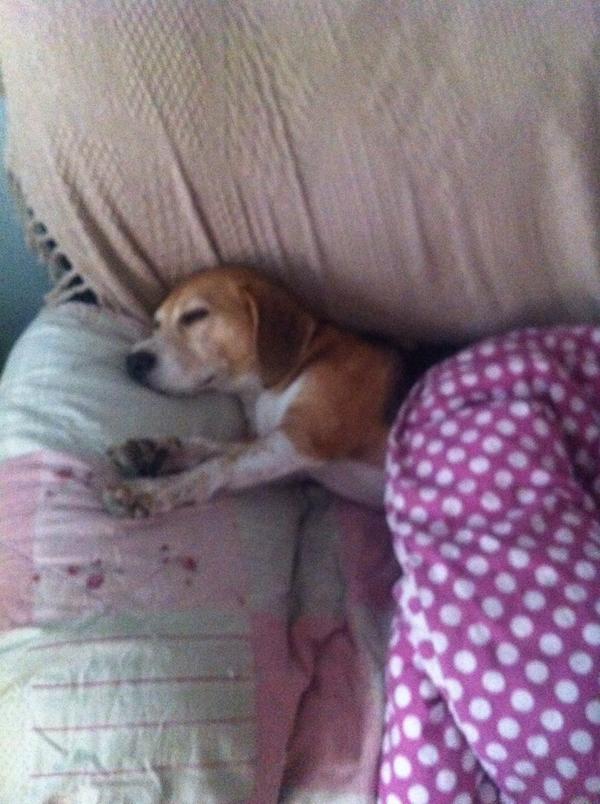 Me n Mumma are havin a duvet day