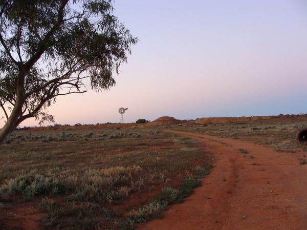 rach_macromeats's tweet photo. Mulyungarie... Prestine roo harvesting region @GourmetGame @ParooKangaroo #outback #kangaroo http://t.co/8lGeYlEEXy