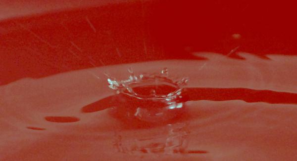 chadhachitwan's tweet photo. realflow fluid simulation.Gr8
https://t.co/1vRjYgVgAX http://t.co/icoxOx6GDI