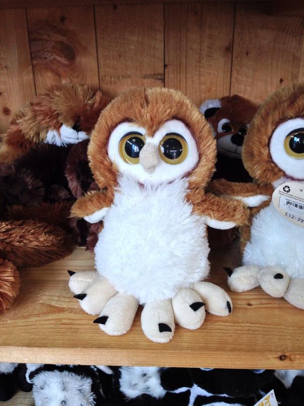 Day at the zoo well spent