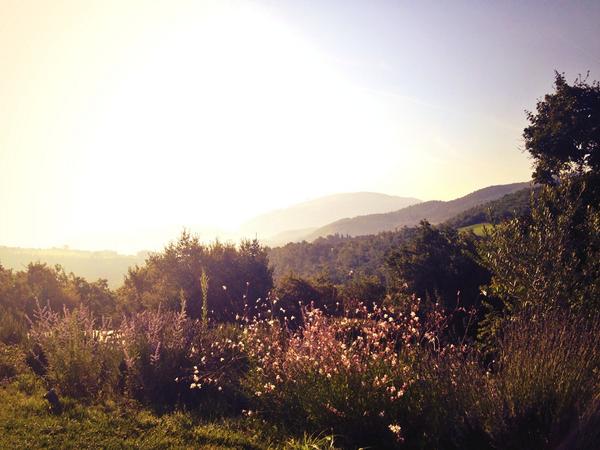 anna_incerti's tweet photo. Hi everybody! Yesterday i and my fiend maila do a walking at the mountains of Umbertide...it was very beautiful☀️🚶📷🌻🌸 http://t.co/fVmWsJfC2j