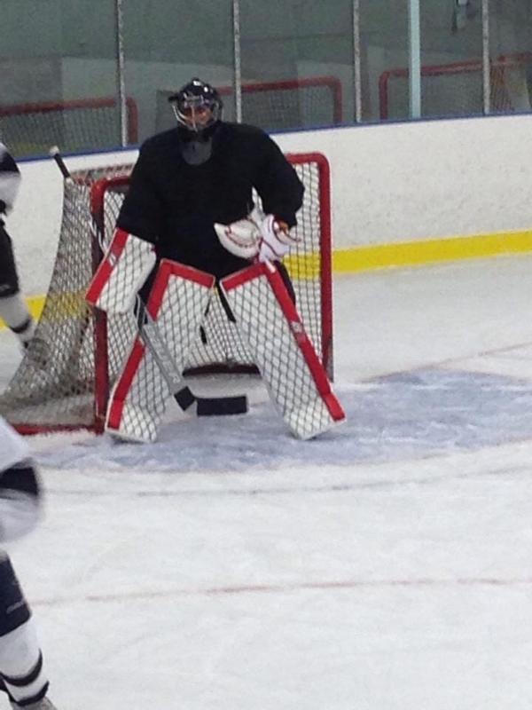 Should this hockey goalie's pads be illegal? (Photo)