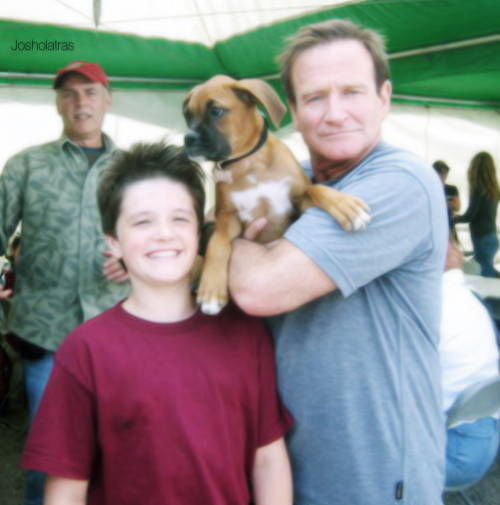 WeHeartPeeta's tweet photo. Why hasn't Josh said anything about Robin's death yet? :( http://t.co/Yo4WcuyIpq