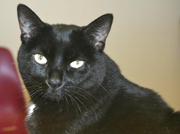 paul_ipa's tweet photo. Meet Lucy http://t.co/eBBIMNaCeC