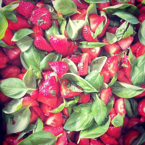Custard made. Churn time. #strawberryandbasilicecream