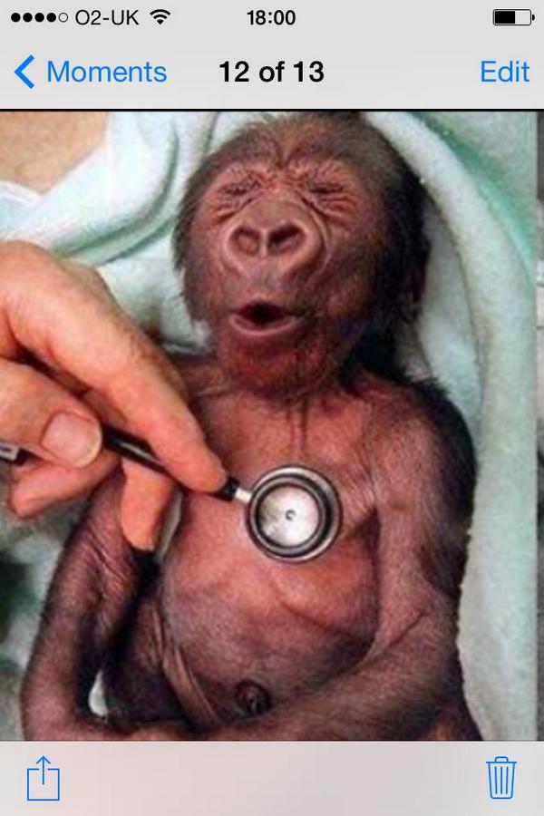 CohoonSimon's tweet photo. Looking through old pics and found @LBCohoon when he was born #rang #TheBoomBoomRoom @kwalz79_mark @pievandamme http://t.co/0Hr2dA4CLP