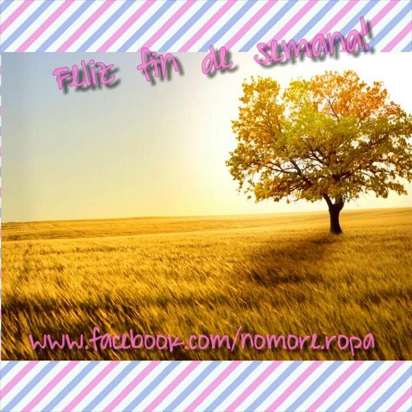 Nomore_ropa's tweet photo. A sonreírle al día nublado! ♡ http://t.co/0FgsOcxGIz